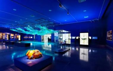 【展馆分享】智利圣地亚哥博物馆——鲸鱼，智利海的声音
